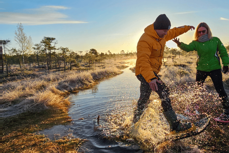 From Riga: Bog-Shoe Hiking Tour at Cenas or Ķemeri Bog