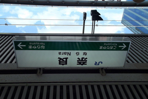 Nara: passeio ao entardecer com caligrafia e lanternasNara: caminhada ao entardecer com caligrafia e lanternas