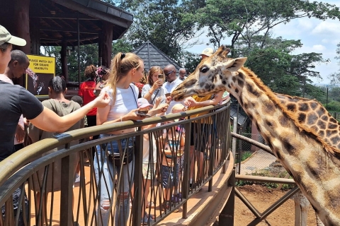 Excursion d'une journée à l'orphelinat des girafes et des éléphants et aux Bomas du Kenya.
