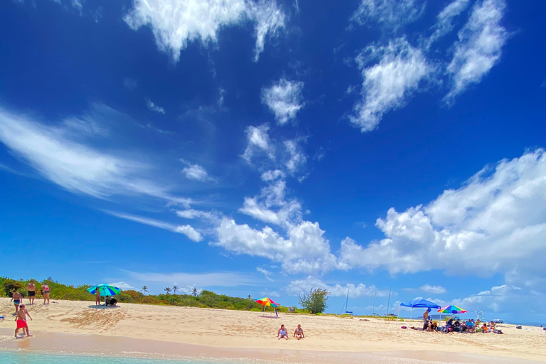 From Fajardo: Snorkeling and Beach Day in Culebra