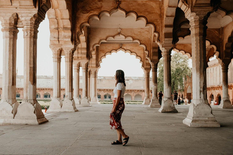 De Délhi: Excursão de meio dia ao Taj Mahal e ao Forte de AgraSomente guia de turismo