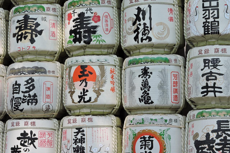 جولة سير على الأقدام لأبرز معالم طوكيو مع مرشد مرخص