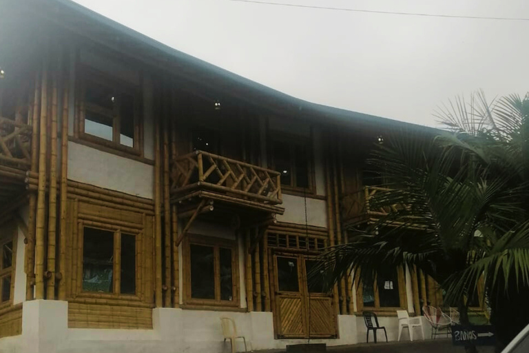 Bogotá: La Chorrera Waterfall Yoga and Forest Bathing