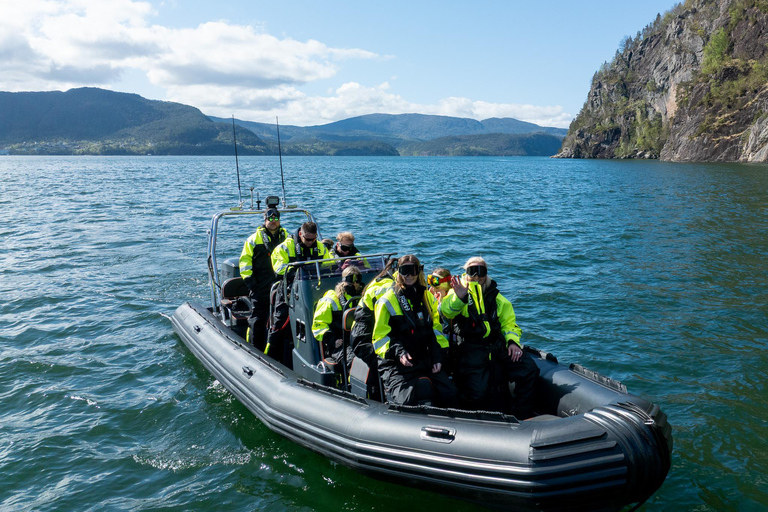 Bergen: Modalen RIB Fjord Safari with Lunch & Transfer
