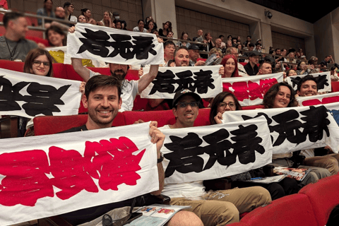 Nagoya: Grand Sumo Tournament Tour 1PM: Castle Walking Tour + Chair A in the arena