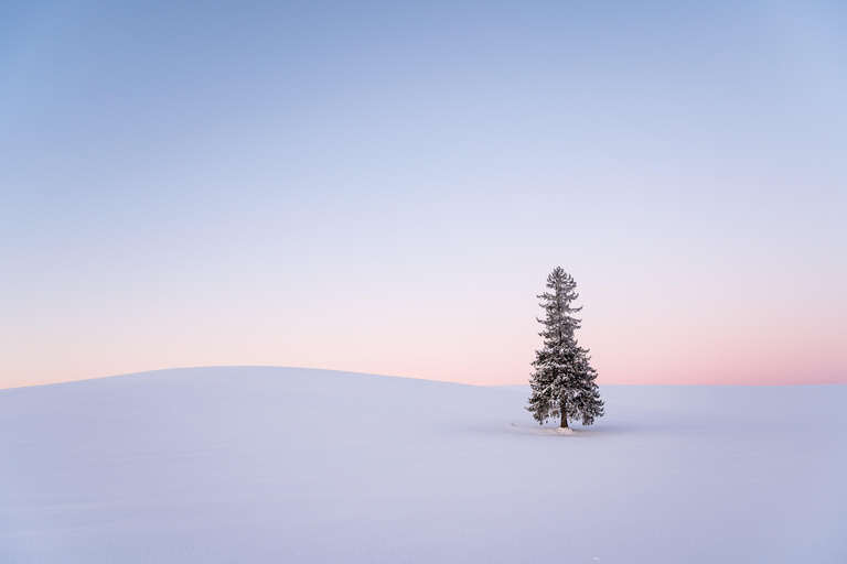 Sapporo: Hokkaido Biei Best 5 Photo Spots Day Tour Shared Tour, Meet at Odori Station