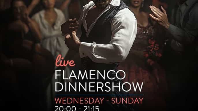 Malaga: Authentic Flamenco Dinner Show at Vino Mio