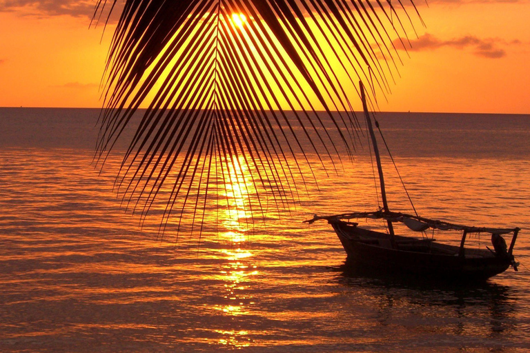 Crucero en dhow al atardecer por la costa de Stone Town