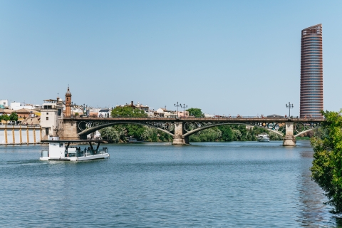 Sevilla: 1 uur durende rondvaart op de Guadalquivir-rivierPrivécruise – tot 50 personen