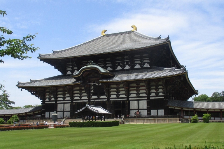 Kyoto-Nara: Grande Budda, Cervi, Pagode, "Geisya" (Italiaans)Kyoto-Nara: rondreis door een giornata intera (italiaanse gids)
