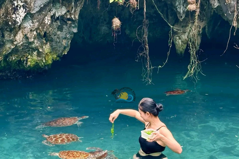 Błękitna Laguna, rozgwiazdy, żółwie, las Jozani i SkałaTransport hotelowy w regionie południowym