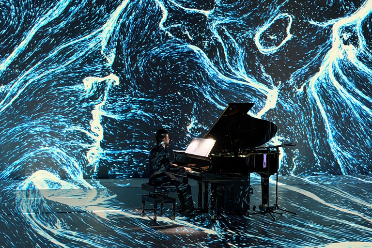 ✨Immersive Light and Music Show in Alicante I Under The Tree