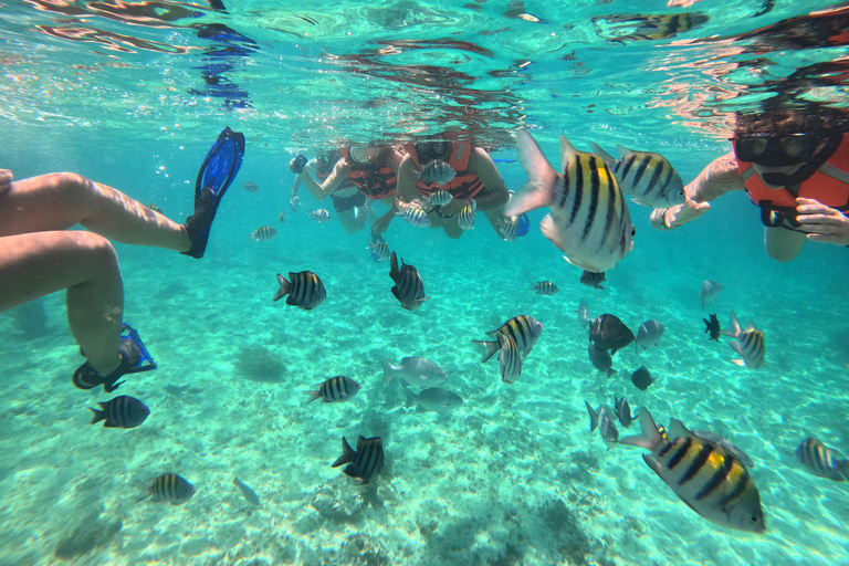 Isla Mujeres: Snorkel tour in 3 spots, Underwater Museum, and reefs! Isla Mujeres: Snorkeling tour in 3 spots, Underwater Museum and reefs!
