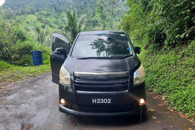 Island Tours: St. Vincent & the Grenadines - Dark View Falls