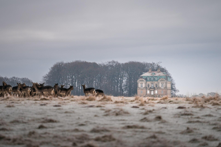 Deer Park Entry Ticket Jægersborg Dyrehave (Dyrehaven)
