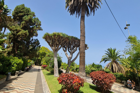 Gran Canaria Shore Excursion Rum Tasting & Scenic Villages