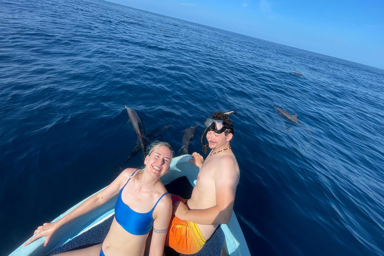 Puerto Escondido: Bootstour zu Delfinen und MeerestierenPrivate Tour