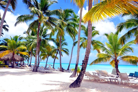 From Punta Cana: Isla Saona Day Trip with Lunch & Drinks