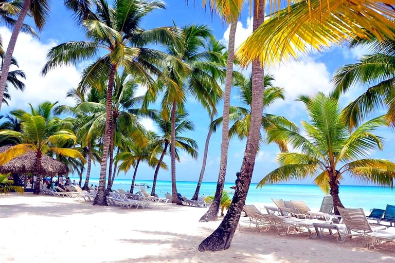 From Punta Cana: Isla Saona Day Trip with Lunch & Drinks