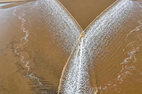 Hangzhou Qiantang River Tidal Bore Tour Yanguan — The Classic Single-Line Tide
