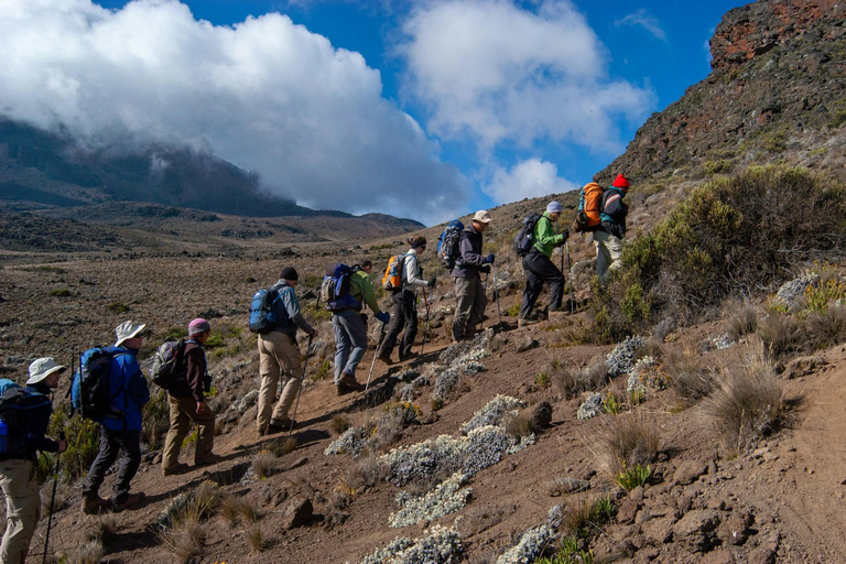 Kilimanjaro: Caminhada guiada de 6 dias pela rota Machame