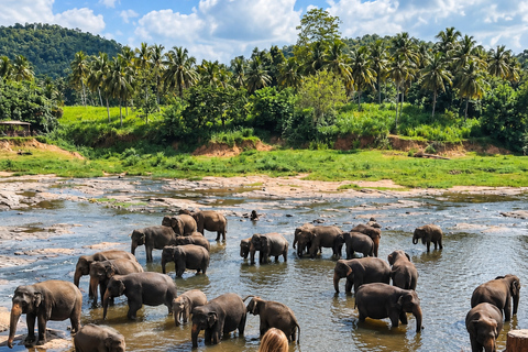 Kandy: Elephant Village Experience & Kandyan Dance Tour Kandy: Private Guided City Tour by Tuk-Tuk