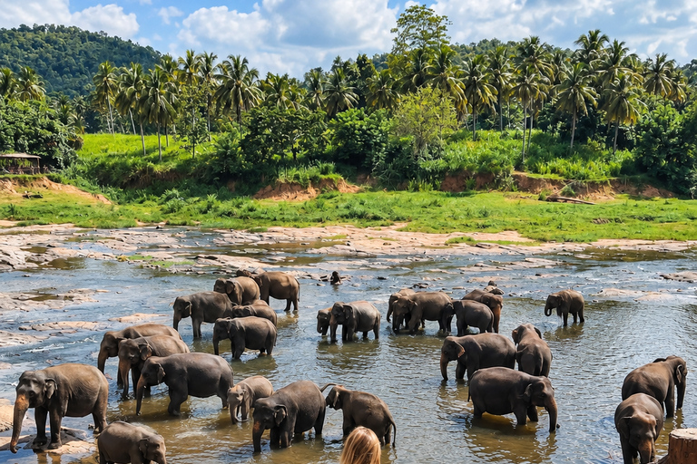 Kandy: Elephant Village Experience & Kandyan Dance Tour Kandy: Private Guided City Tour by Tuk-Tuk