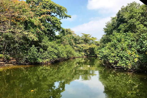 Rio de Janeiro: Half-Day Boat Tour in Marapendi Lagoon