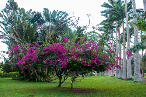 Excursão às Cataratas do Boti e aos Jardins de Aburi