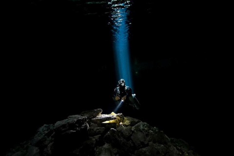 Vanuit Cancún: Angelita en Taj Ma Ha Cenote duikervaringDuikervaring