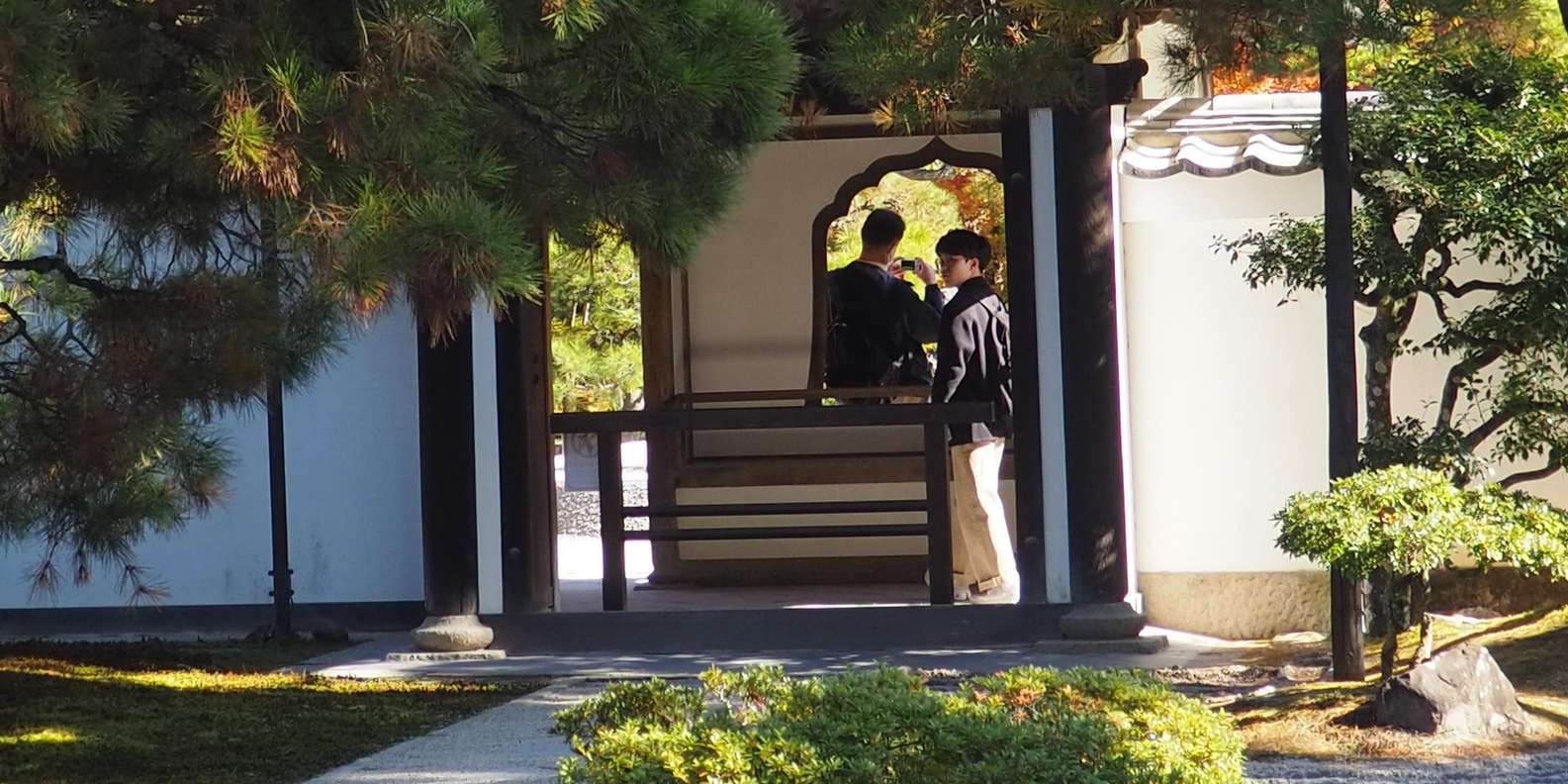 Kyoto experience — temples, geisha, bamboo grove — image 66