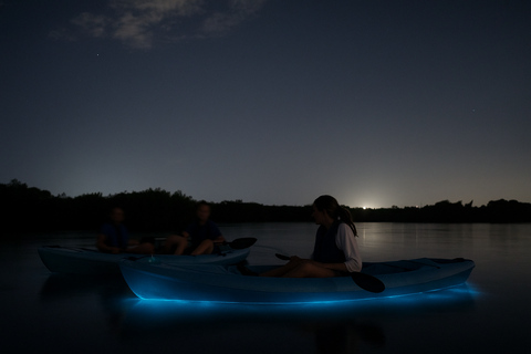 Cocoa Beach/Merritt Island:Bioluminescent kayak tour Single Kayak