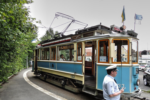 Gothenburg: Guided Walking Tour in Ukrainian