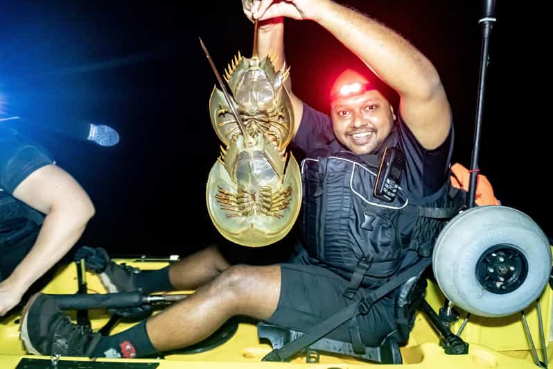 Pulau Ubin: Night Kayak Fishing Adventure with Seafood Meal