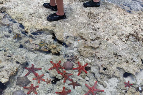 Zanzibar : excursion de plongée avec tuba et voile au récif de Kiwengwa