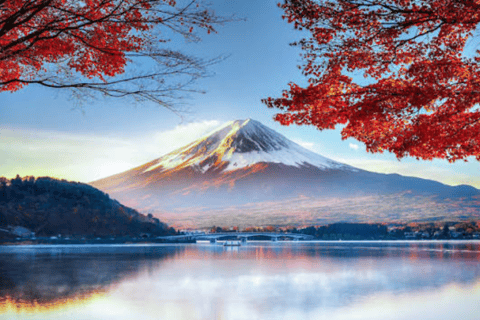 From Tokyo: Mount Fuji Private Tour With English Guide Mount Fuji & Hakone Tour