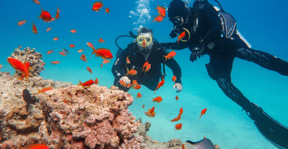 Djerba: Scuba Diving