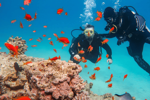 Djerba: Mergulho Submarino