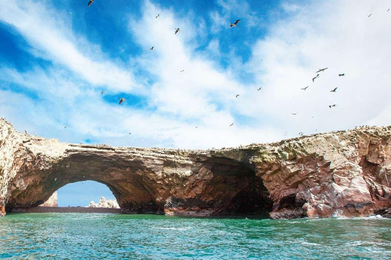 جولة إيكا-باراكاس: الجزر والمحميات والعودة