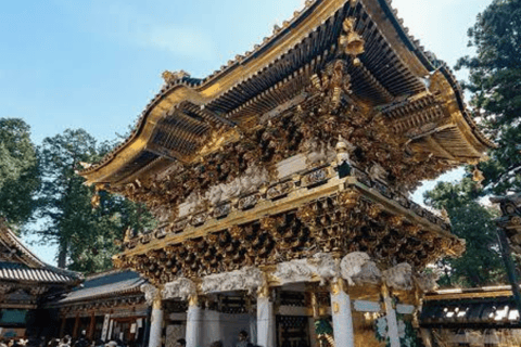 Tokyo:Nikko UNESCO World Heritage Sites Private 1-Day Tour