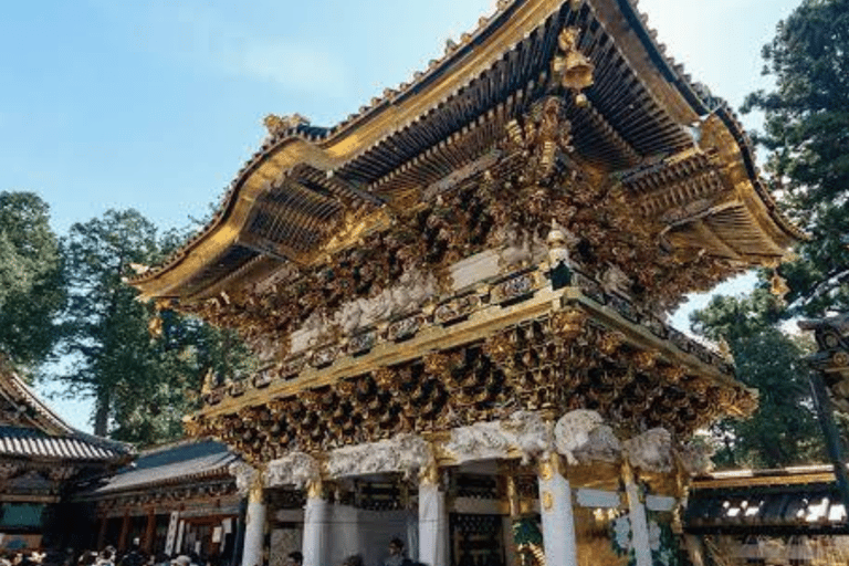 Tokyo:Nikko UNESCO World Heritage Sites Private 1-Day Tour