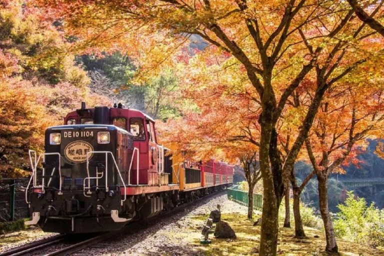 Osaka : Kyoto Arashiyama, Sanzen-in, Bambouseraie, Érables d'automnePrise en charge à la gare de Kyoto, sortie Hachijo, à 9 h 50.