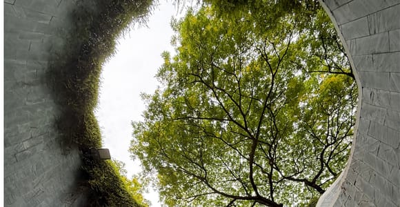 Singapore: 700 Years of History River Cruise & Walking Tour