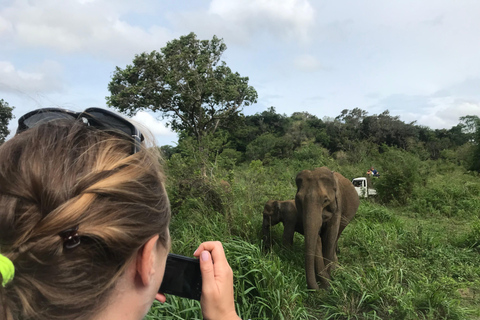 Colombo: Dambulla Cave Temple and Sigiriya Day Trip