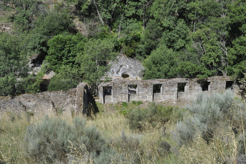 Promenade dans la nature de Guarda : Récits de promenades Mondego