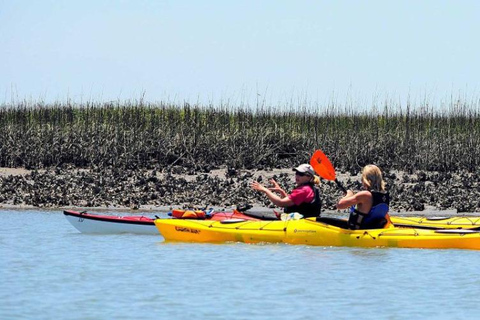 Charleston: Tandem- oder Einzelkajaktour mit einem GuideSumpfkajak Tour - Tarpon Sit-on-top Single