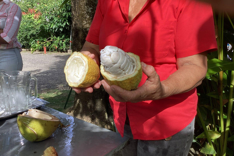 Jamaica: Spirit of the Maroons Cultural tour in Jamaica