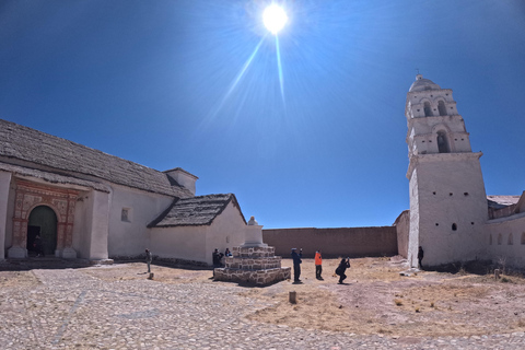 From La Paz: Tour guide-led tour of Sajama Park