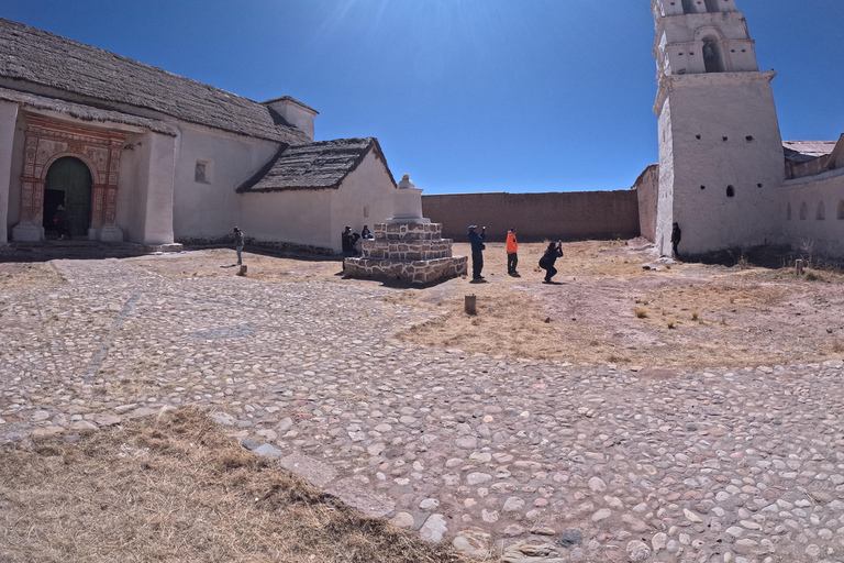From La Paz: Tour guide-led tour of Sajama Park