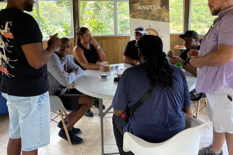 Medellín: A Nature Journey Into Medicinal Cannabis Option 1: Basic Educational Cannabis Tourism Experience